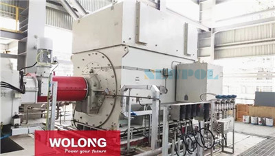 臥龍電驅(qū)為浙石化23000kw功率電機(jī)試車成功(圖2) 臥龍電驅(qū)為浙石化23000kw功率電機(jī)試車成功(圖2)