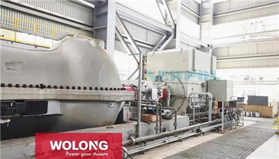 臥龍電驅(qū)為浙石化23000kw功率電機(jī)試車成功(圖1) 臥龍電驅(qū)為浙石化23000kw功率電機(jī)試車成功(圖1)