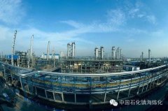 臥龍電驅再獲中石化鎮(zhèn)海煉化項目框架高壓電動