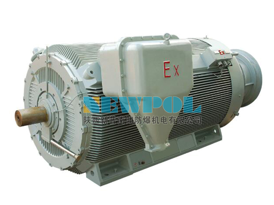 YBBP系列高壓隔爆型變頻調(diào)速三相異步電動(dòng)機(jī)