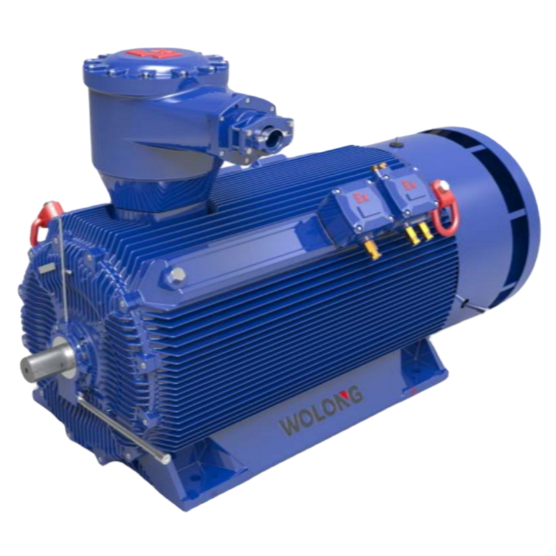 高壓防爆電機(jī)：穩(wěn)定動(dòng)力，適用于特殊環(huán)境