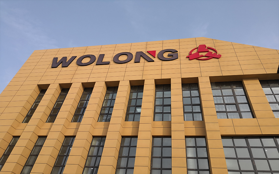 臥龍南陽高壓防爆電機(jī)：在極端環(huán)境下的安全與效能典范