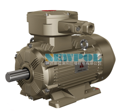 YBX3高效率隔爆型電機如何安裝(圖1) image.png