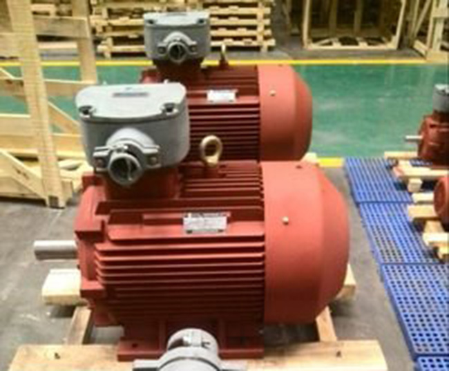 YB3隔爆型三相異步電動(dòng)機(jī):安全可靠的工業(yè)動(dòng)力選擇(圖1) 4.jpg