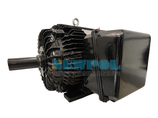 NSHE低壓防爆電動(dòng)機(jī)使用說明書詳解(圖1) 2-201225163329106.jpg