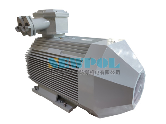 高效率低壓隔爆型三相異步電動(dòng)機(jī) — YBX4 系列的優(yōu)勢(shì)和應(yīng)用案例