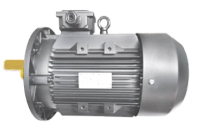 南陽(yáng)防爆電機(jī)在石油化工行業(yè)的應(yīng)用成功案例分析(圖1) 微信截圖_20240701093138.png