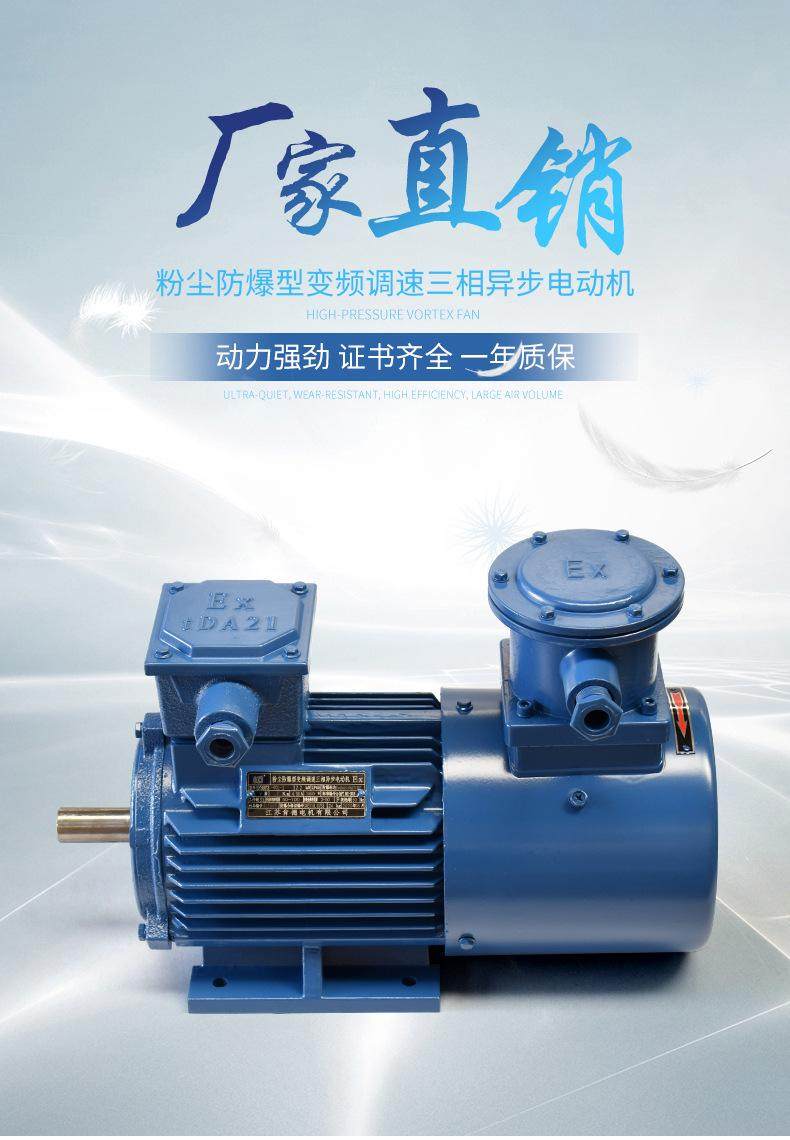 YFB4粉塵防爆三相異步電動機(jī)(圖1)