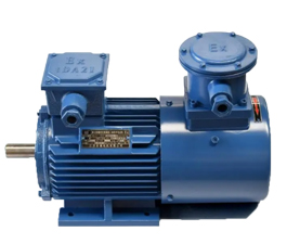 YBBP4粉塵防爆變頻三相異步電動機(jī)