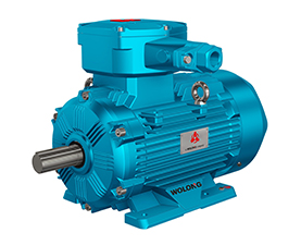 YBBP3粉塵防爆變頻三相異步電動(dòng)機(jī)