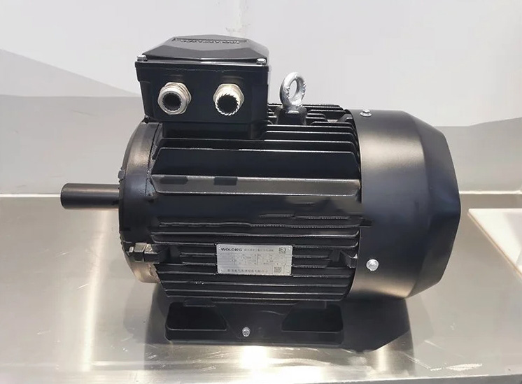 新版一級(jí)能效電機(jī)YE5/WE5臥龍電氣南陽(yáng)防爆電機(jī)