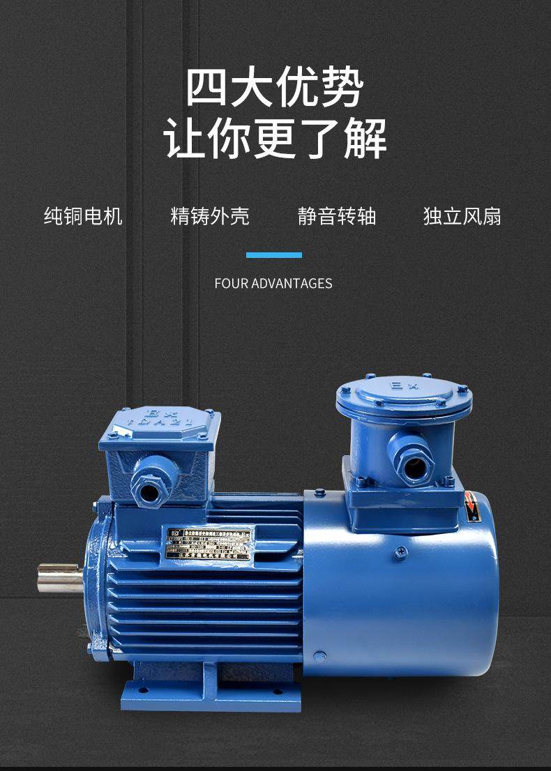 YFBBP3粉塵防爆變頻三相異步電動機(jī)全銅線隔爆(圖5) YFBBP3粉塵防爆變頻三相異步電動機(jī)全銅線隔爆(圖5)