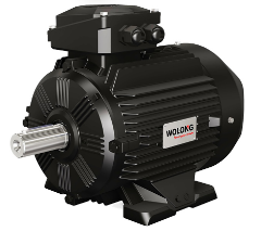 電機(jī) 被列入國(guó)家首批產(chǎn)品碳足跡標(biāo)識(shí)認(rèn)證試點(diǎn)名單