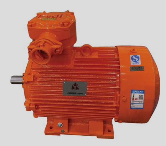 防爆電機(jī)與普通電機(jī)的區(qū)別：以南陽防爆電機(jī)為例