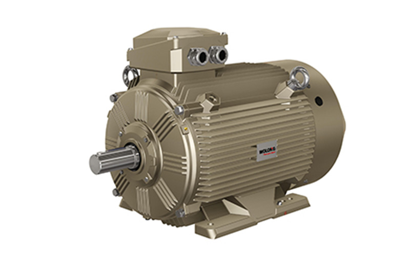 臥龍低壓永磁電機(jī)(圖1) 低壓永磁電機(jī).jpg