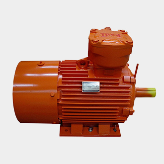 防爆電機選型實戰(zhàn)攻略:避開 90% 企業(yè)踩過的坑(圖1) 1-240402163S3934.jpg