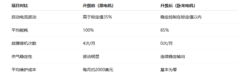 印度空壓機工廠升級臥龍電機后能耗降低15% 運行更加穩(wěn)定