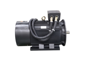 永磁同步電機(jī)市場(chǎng)發(fā)展趨勢(shì)與未來(lái)前景分析