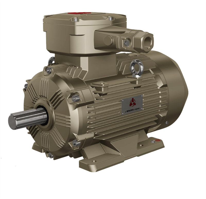 YFB4 系列粉塵防爆型三相異步電動機(jī)(機(jī)座號80～355).jpg