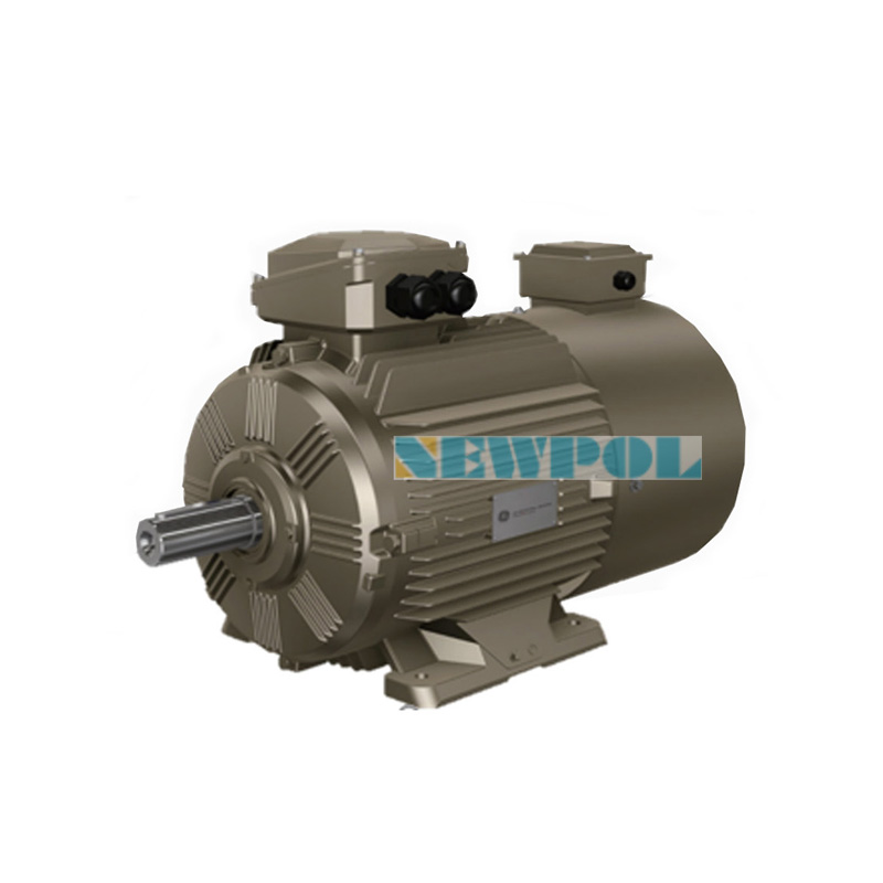 WEBP異步變頻電機(jī)