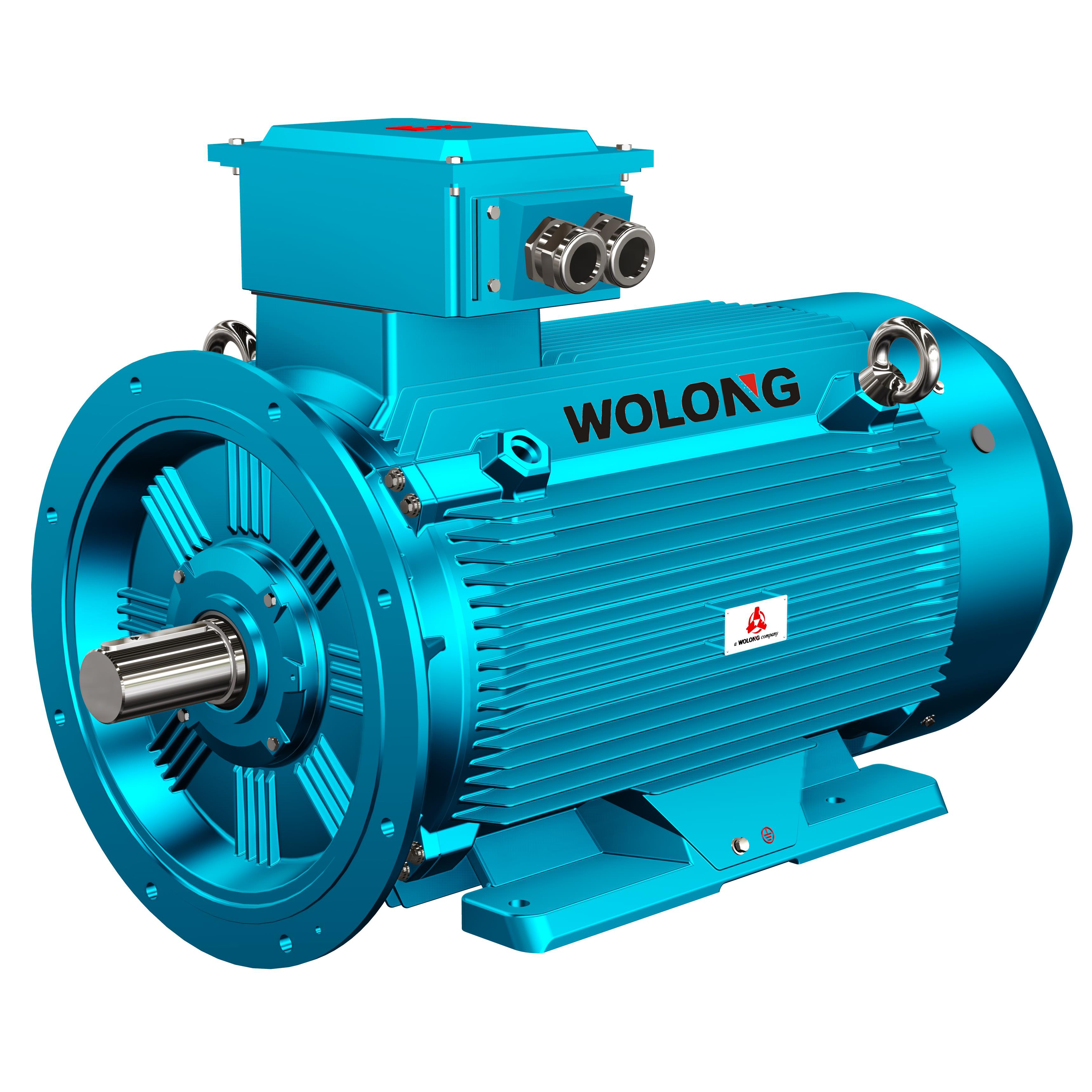 YFB4/YFB3 Low-voltage dust explosion-proof motor(圖1) 已傳-YFB.jpg