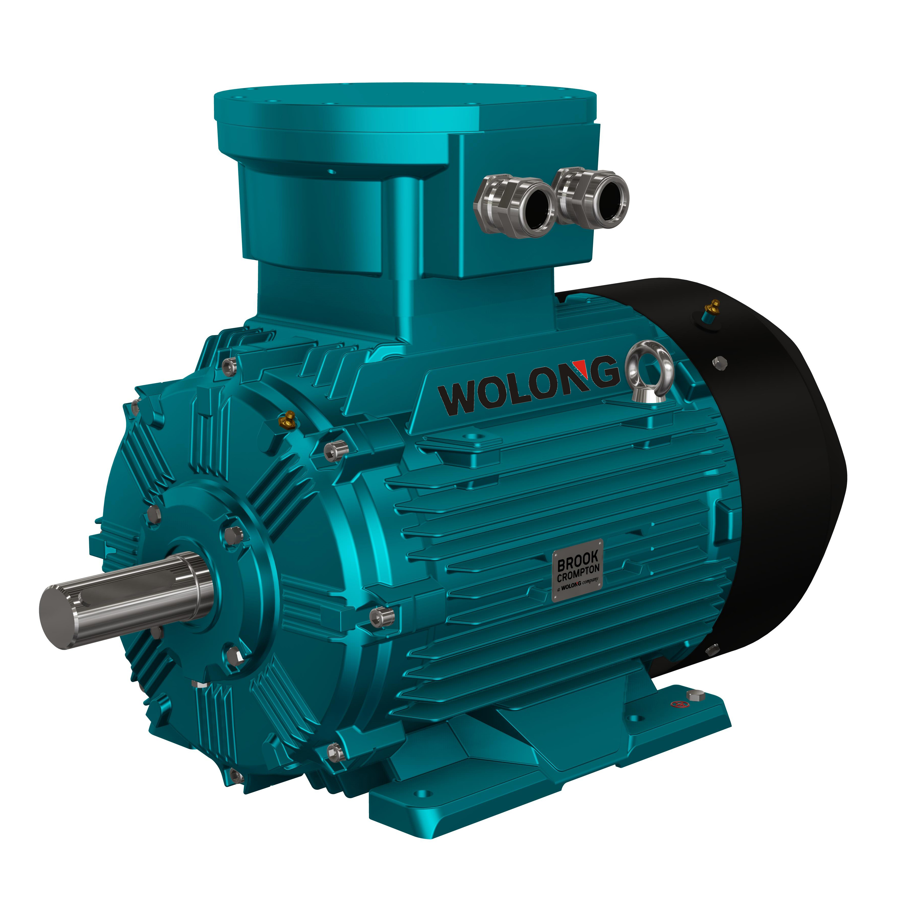 Brook Crompton electric motor(圖1) Brook.jpg