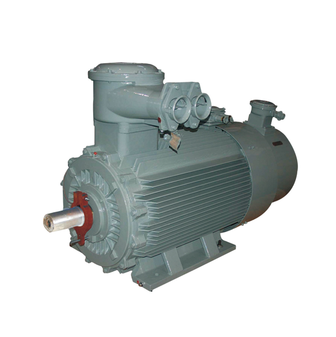 Nanyang Explosion-proof Motor: What are the precautions for the safe use of explosion-proof motors?